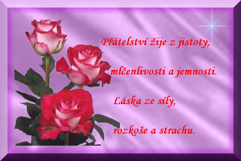 color_pink_139ÁŽŘÁŘŽÁ.jpg